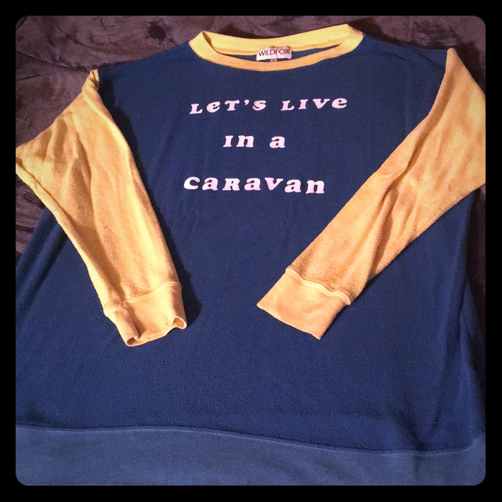 Wildfox Jumper